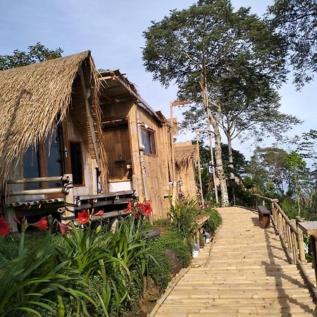 Wanagiri Campsite Gitgit Exterior foto
