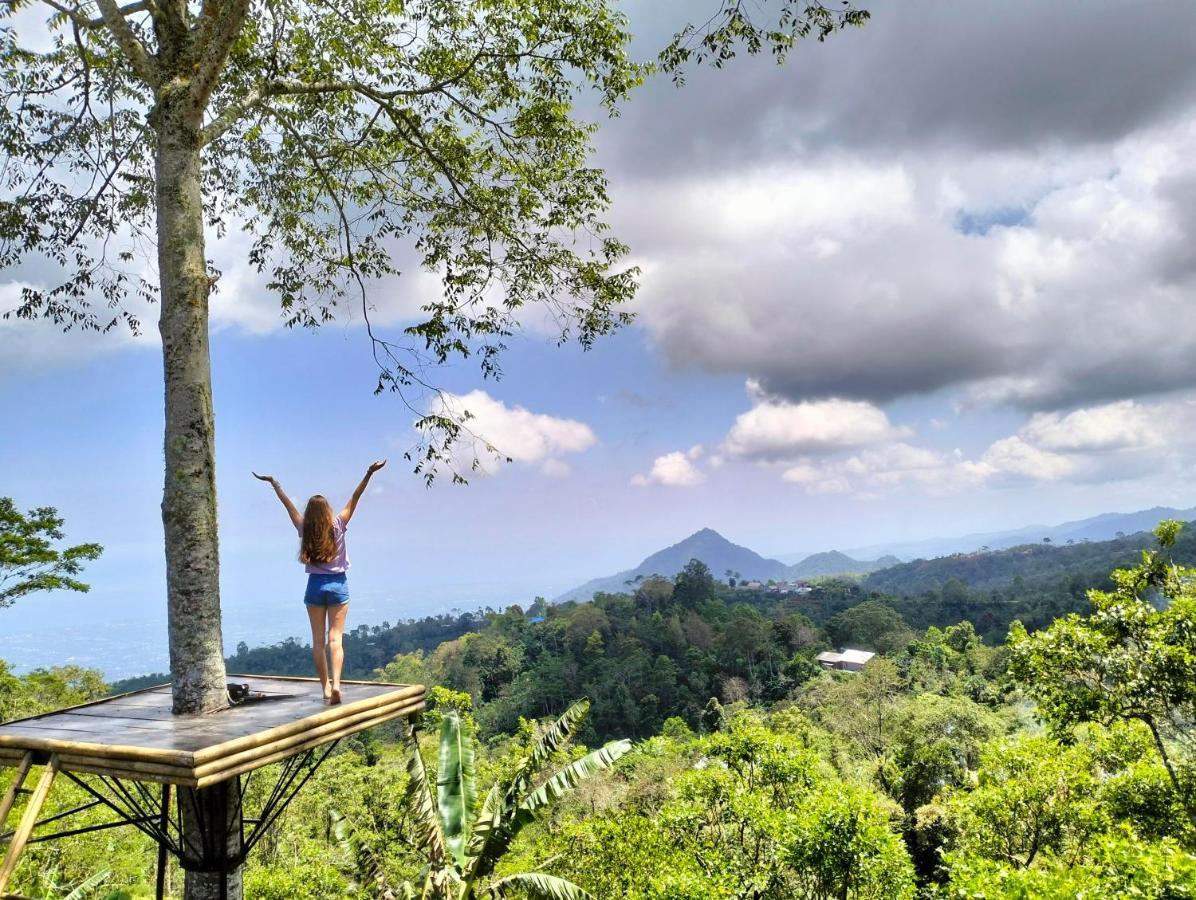 Wanagiri Campsite Gitgit Exterior foto