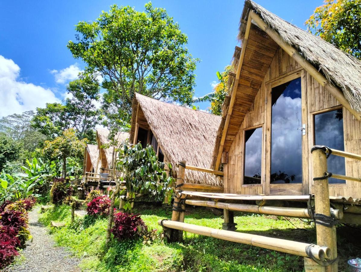 Wanagiri Campsite Gitgit Exterior foto