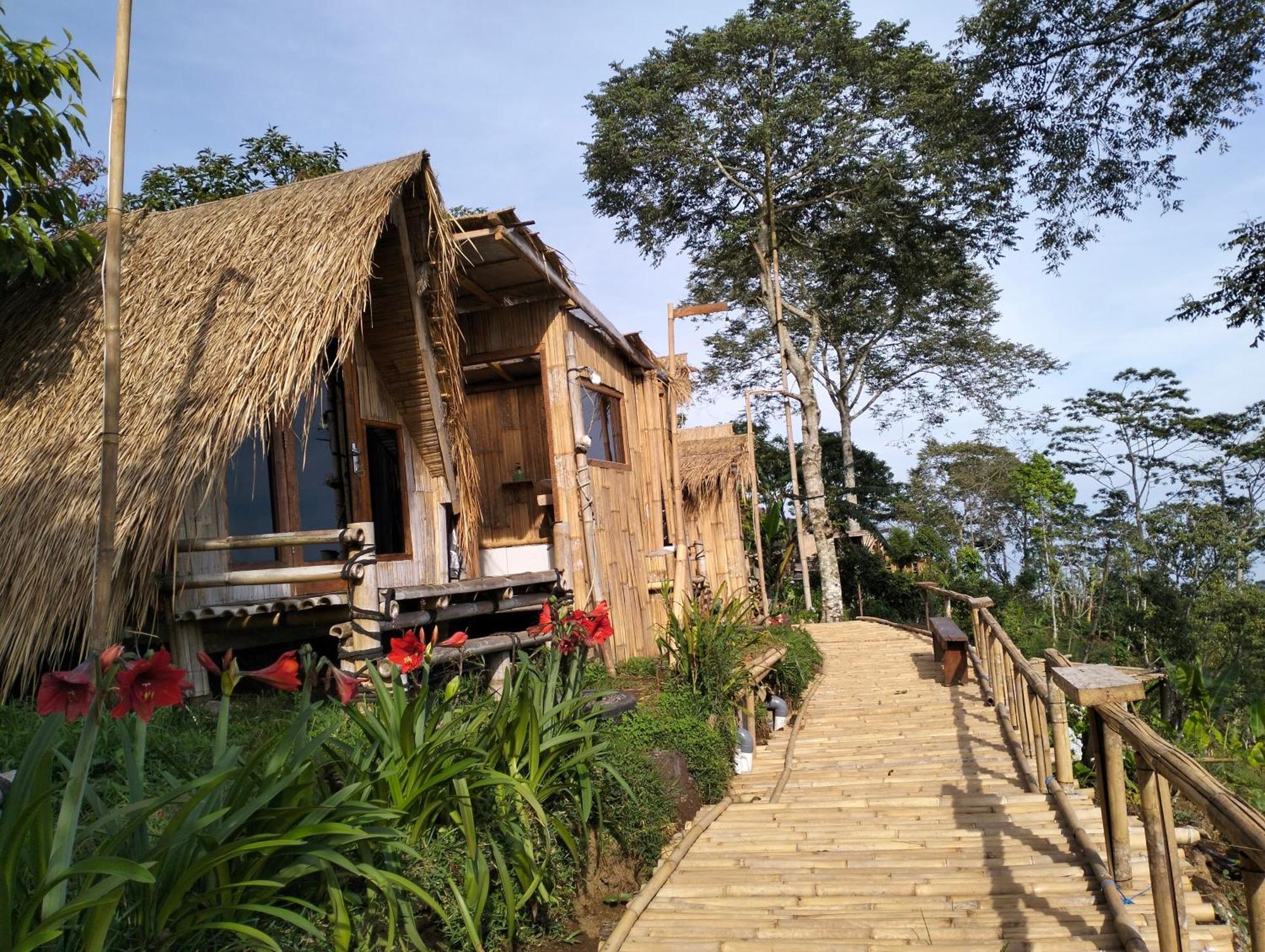 Wanagiri Campsite Gitgit Exterior foto